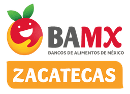 BAMX